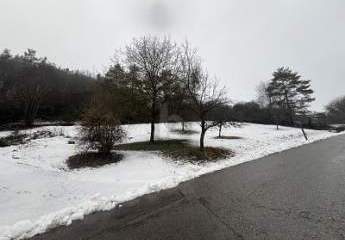 473618-Vorschaubild2