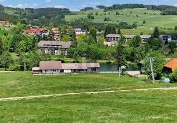 473391-Vorschaubild2