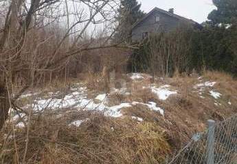 472785-Vorschaubild2