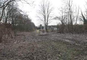 472579-Vorschaubild2