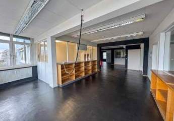 473972-Vorschaubild3