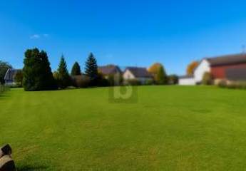 474079-Vorschaubild2