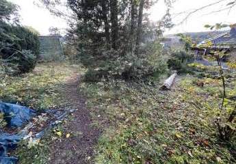 472333-Vorschaubild2