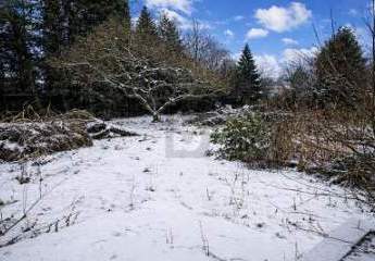 474120-Vorschaubild3