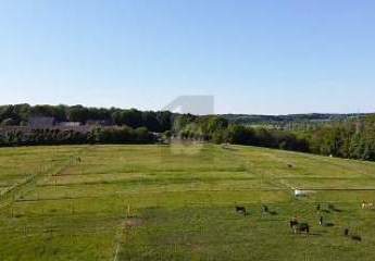 474132-Vorschaubild2