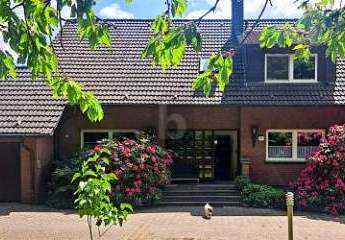 474132-Vorschaubild3