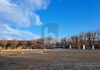 474132-Vorschaubild4