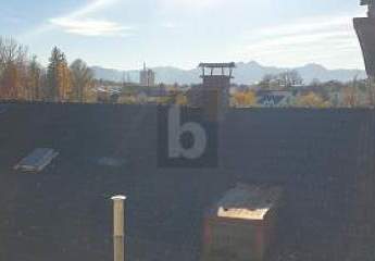 474071-Vorschaubild2