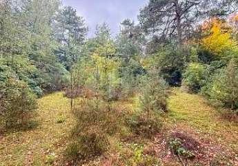 472562-Vorschaubild3