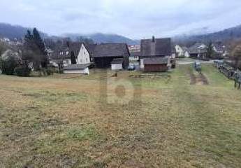 474785-Vorschaubild3