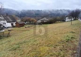 474785-Vorschaubild4