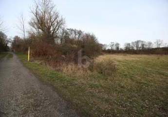 472579-Vorschaubild4