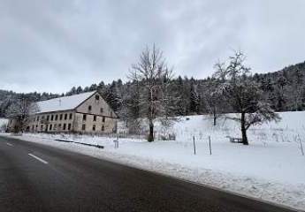HISTORISCH, MITTEN IM SCHWARZWALD