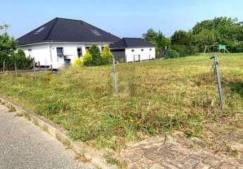 473600-Vorschaubild4