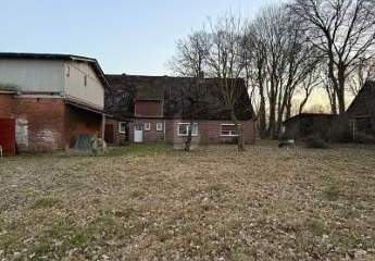 472648-Vorschaubild3