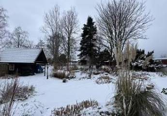 472768-Vorschaubild2