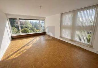 472776-Vorschaubild3