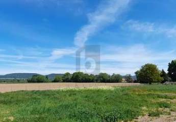 473598-Vorschaubild3