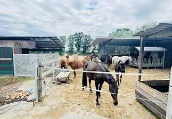 472661-Vorschaubild4