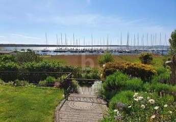 472664-Vorschaubild3