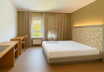 472672-Vorschaubild2