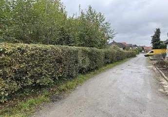 475145-Vorschaubild2