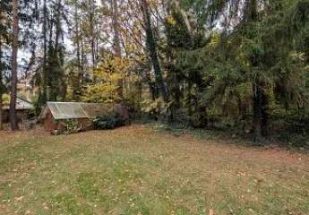 475154-Vorschaubild4