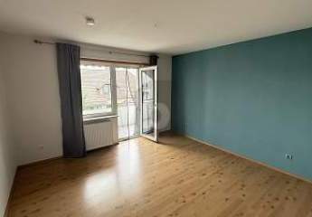 472997-Vorschaubild3