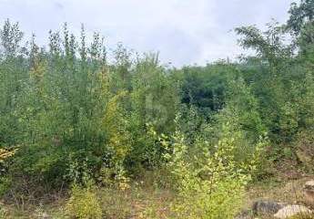 475954-Vorschaubild3