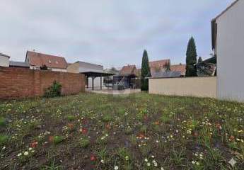 475075-Vorschaubild2