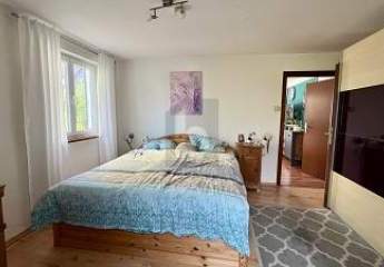 475904-Vorschaubild3