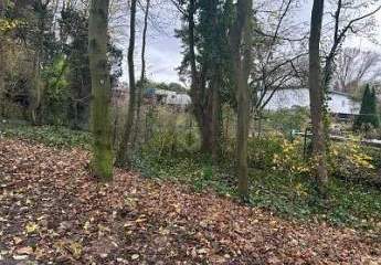 472574-Vorschaubild3