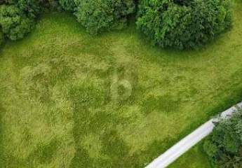 474948-Vorschaubild3