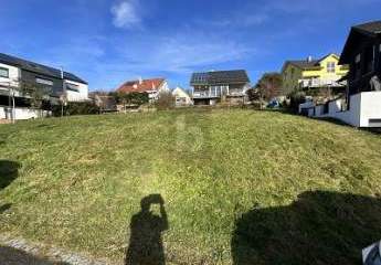 EIGENHEIM MIT TRAUMAUSSICHT