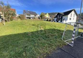 472219-Vorschaubild3