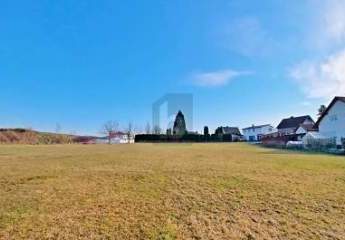 473971-Vorschaubild4