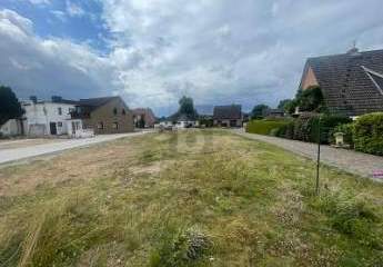 475163-Vorschaubild3