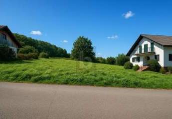 472988-Vorschaubild4