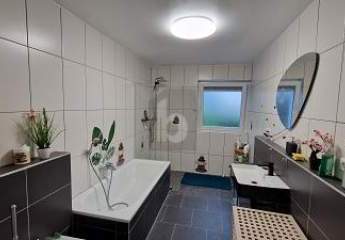 475931-Vorschaubild2