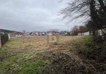 475112-Vorschaubild2