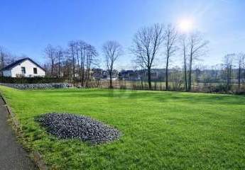 474971-Vorschaubild3