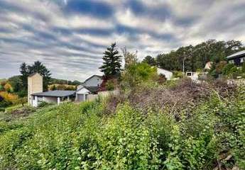 475117-Vorschaubild3