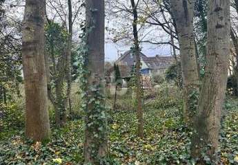 472658-Vorschaubild2