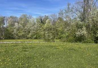 472669-Vorschaubild3