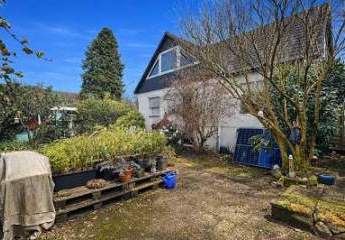 475292-Vorschaubild2