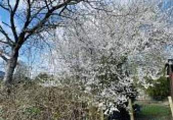 DIE LETZTEN BEIDEN HIER IM NEUBAUGEBIET