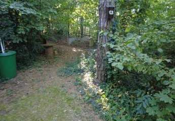 472697-Vorschaubild4