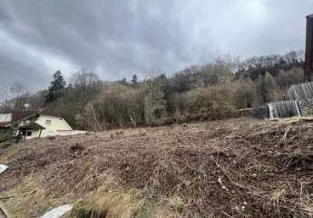 474135-Vorschaubild3