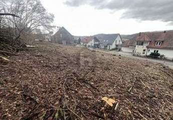 474135-Vorschaubild4