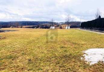 473990-Vorschaubild3